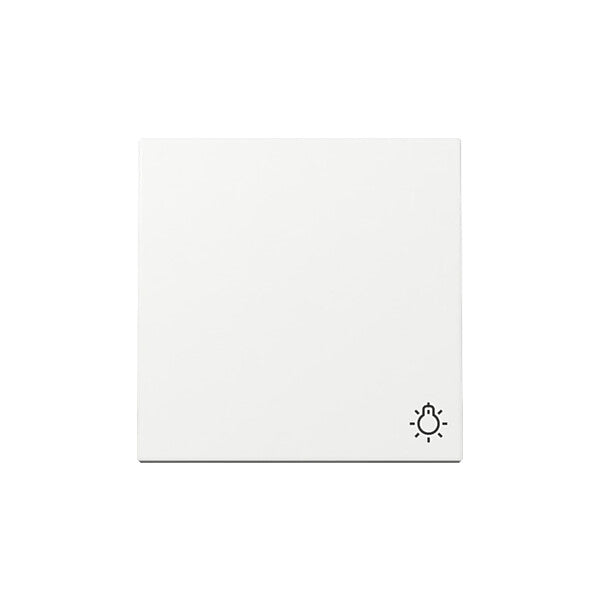 Gira Wippe Symb. Licht Reinweiß 328503